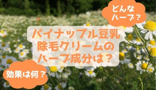 パイナップル豆乳除毛クリームのハーブ成分は？詳しく調べてみた！